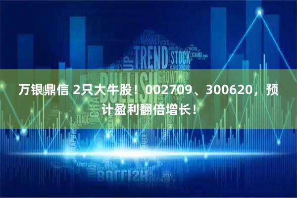 万银鼎信 2只大牛股！002709、300620，预计盈利翻倍增长！